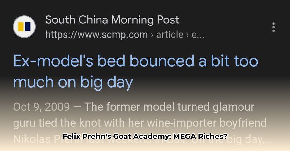 felix-prehn-net-worth